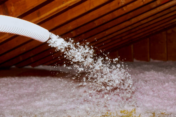 Best Spray Foam Insulation  in Basalt, CO