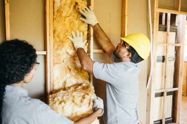 Insulation Repair Services in Basalt, CO