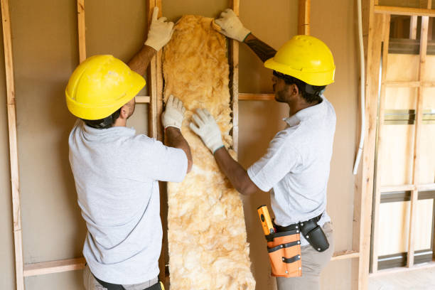 Best Cellulose Insulation  in Basalt, CO