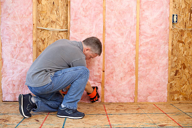 Best Insulation Repair Services  in Basalt, CO