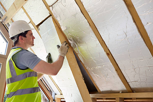 Best Insulation Replacement Services  in Basalt, CO