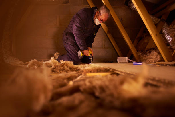 Best Professional Insulation Contractor  in Basalt, CO